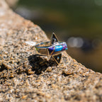 Purple Mosaic Turquoise